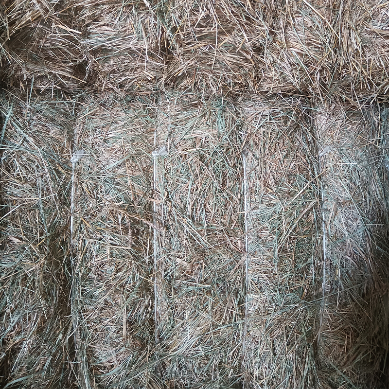 Zhongke Sheepgrass